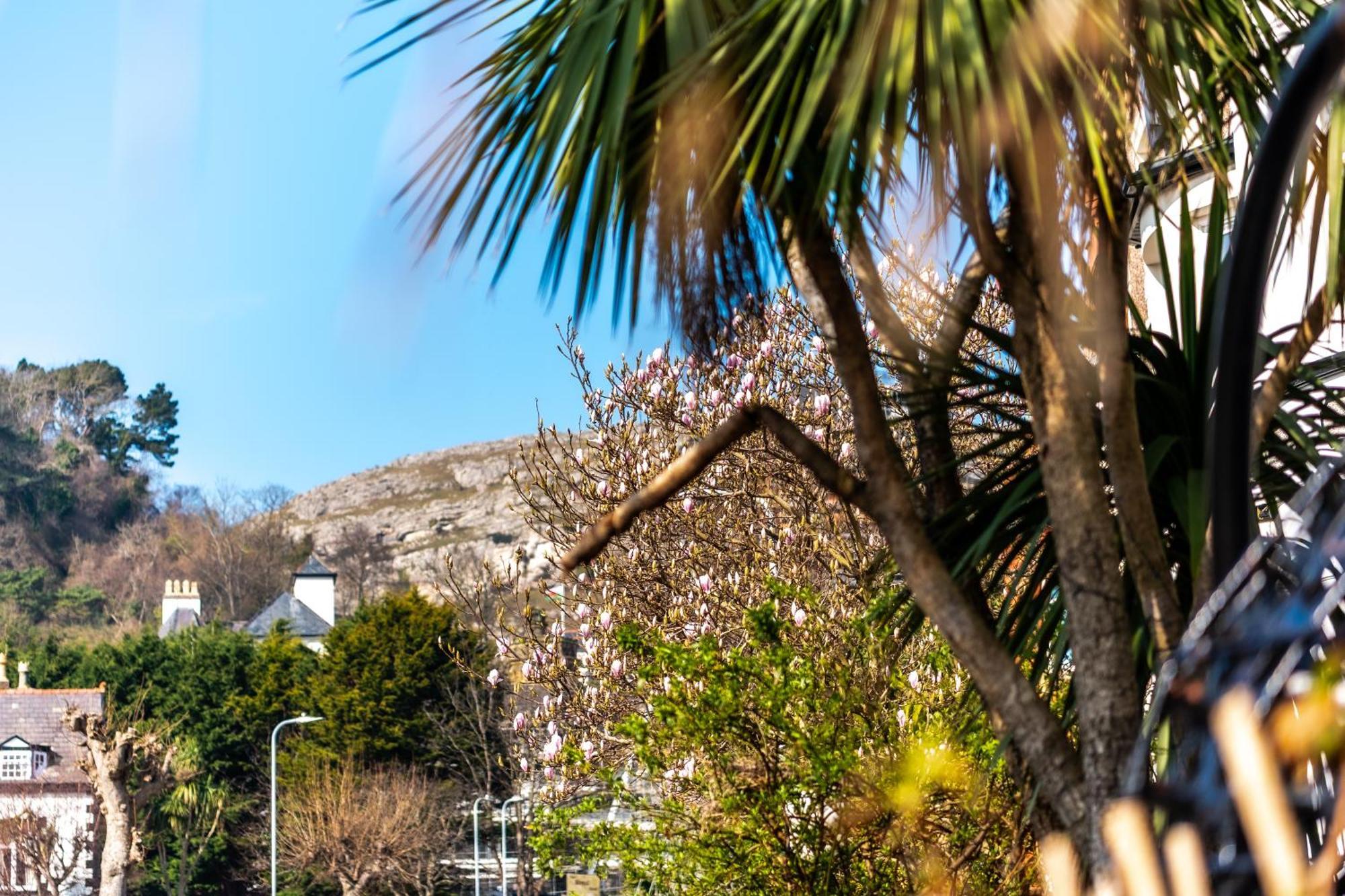 Mulberry House Hotell Llandudno Eksteriør bilde